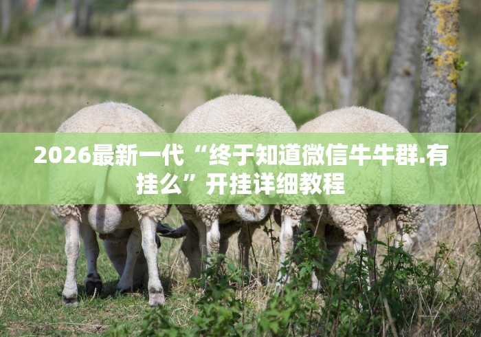 2026最新一代“终于知道微信牛牛群.有挂么”开挂详细教程