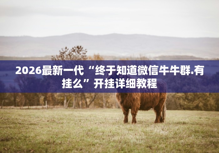 2026最新一代“终于知道微信牛牛群.有挂么”开挂详细教程