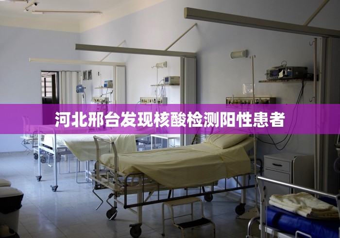 2026最新版下载“迅奇麻将万能开挂器官网最新版本介”(助赢详细开挂教程)