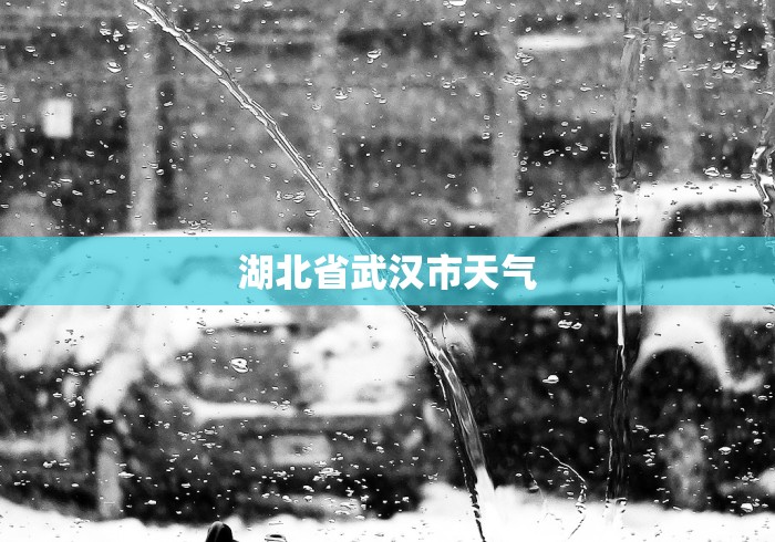 3分钟教程“越乡游十三水发牌规律(真的有挂)
