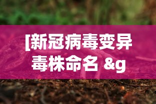 3分钟学会“夜猫麻将有挂吗”(原来确实是有插件)