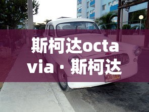 [教程经验]“皮皮云南麻将开挂神器	”开挂神器{透视辅助}全揭秘