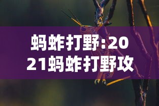 分享实测攻略“胡乐安庆麻将开挂器免费版”有挂详细开挂教程