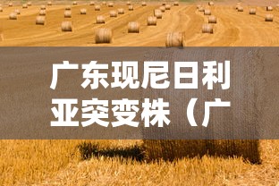 大家普及一下“情怀麻将开挂必赢神器”(透视)开挂辅助脚本+详细开挂安装教程