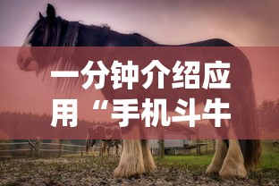 一分钟介绍应用“手机斗牛能赢钱吗”其实确实有挂
