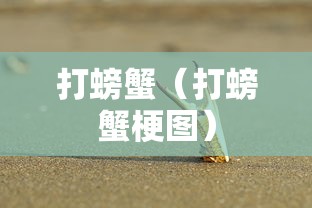 必看攻略“先锋大厅挂怎么购买”详细开挂教程