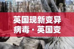 必备科技“微乐广东麻将万能开挂器	”(透视)开挂辅助脚本+详细开挂安装教程