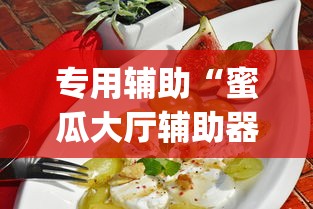 专用辅助“蜜瓜大厅辅助器”(太坑了果然有挂)
