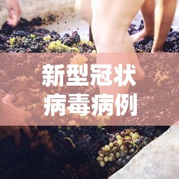 实测!“微乐免费房间怎么开挂”开挂辅助脚本+详细开挂