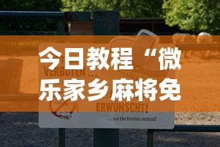 今日教程“微乐家乡麻将免费开挂教程”开挂(透视)辅助教程