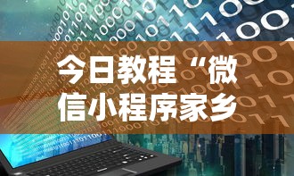 今日教程“微信小程序家乡大贰开挂器”详细开挂玩法