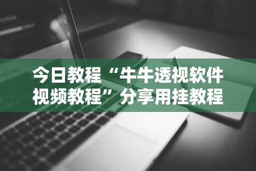 今日教程“牛牛透视软件视频教程	”分享用挂教程