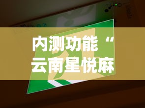 内测功能“云南星悦麻将开挂神器”(原来确实是有挂)