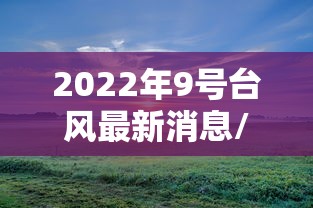 实操教程“决战十三水开挂神器”揭秘透视辅助万能挂