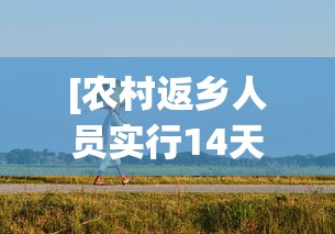 开挂辅助工具“粤麻圈作弊图片”掌握辅助功能必胜规则