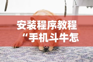 安装程序教程“手机斗牛怎么才能稳赢”原来有神器下载