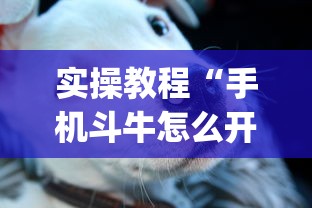 实操教程“手机斗牛怎么开挂免费下载”(太坑了果然有挂)