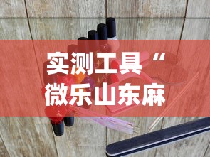 实测工具“微乐山东麻将游戏攻略秘籍”(透视曝光猫腻)