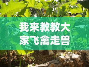 我来教教大家飞禽走兽全押稳赢打法	”(曝光透视必备猫腻)